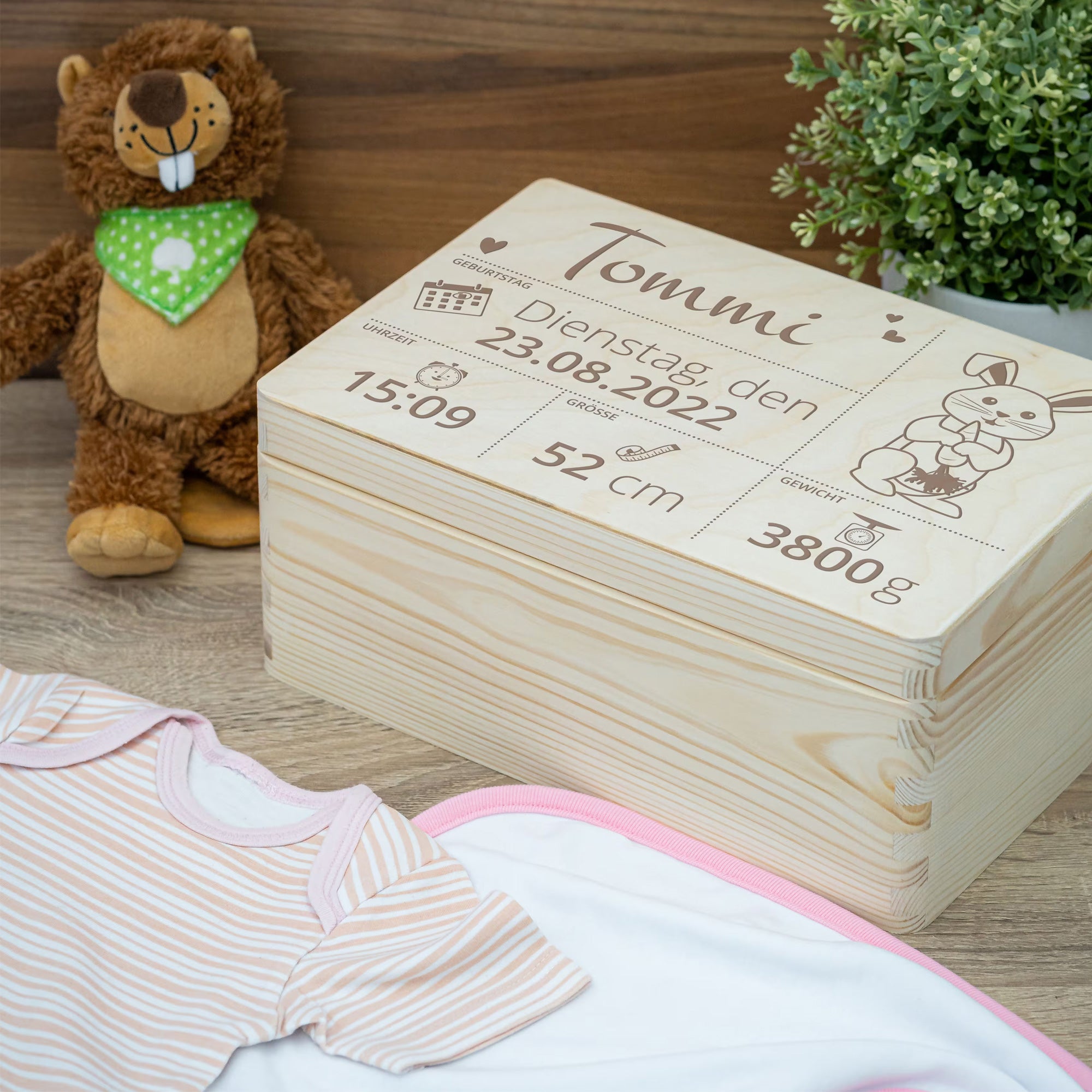 Wooden popsicle sticks, plant labels, craft sticks with custom engraving (10 pieces)