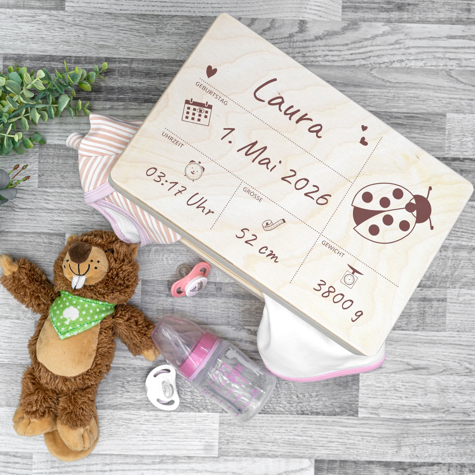 Wooden popsicle sticks, plant labels, craft sticks with custom engraving (10 pieces)