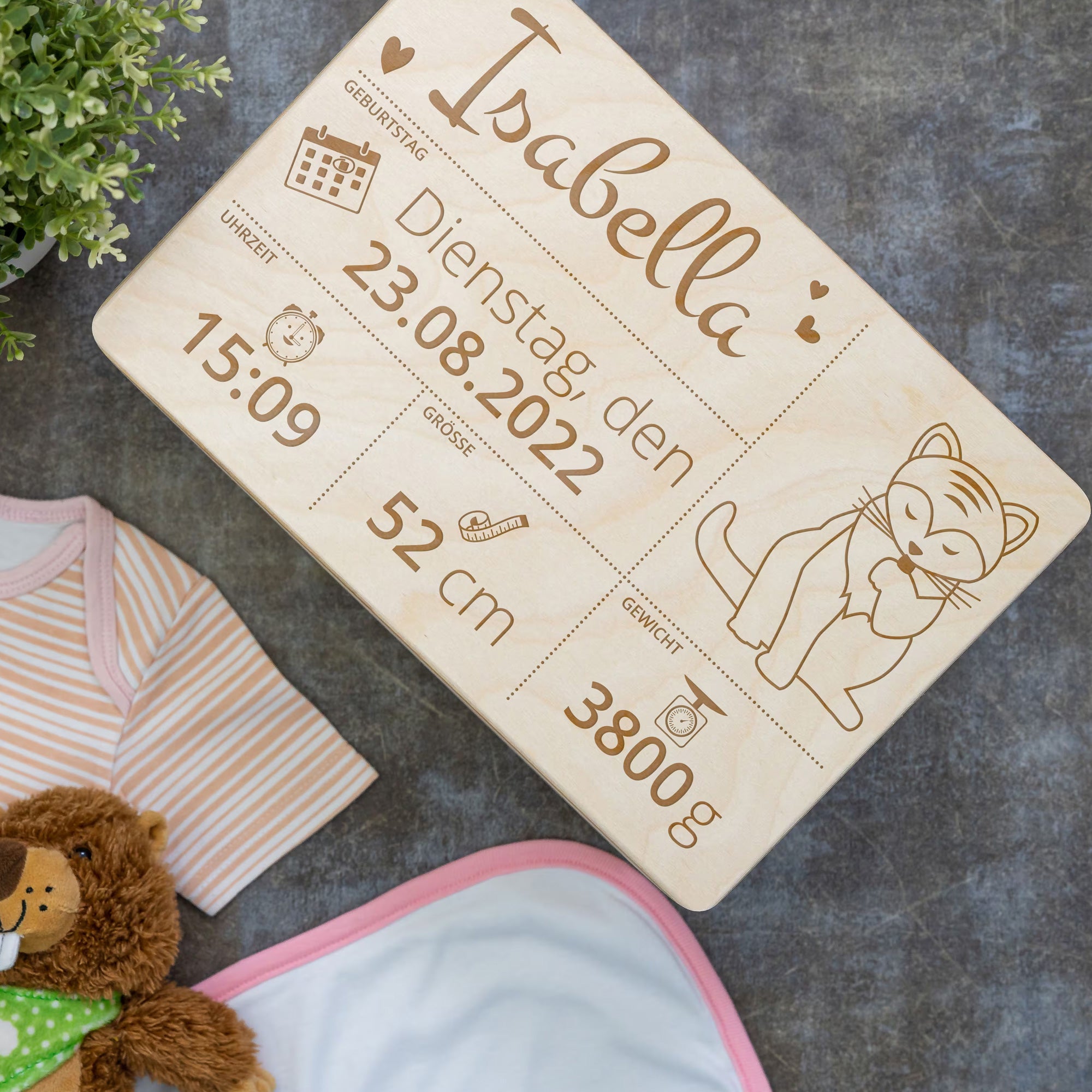 Wooden popsicle sticks, plant labels, craft sticks with custom engraving (10 pieces)