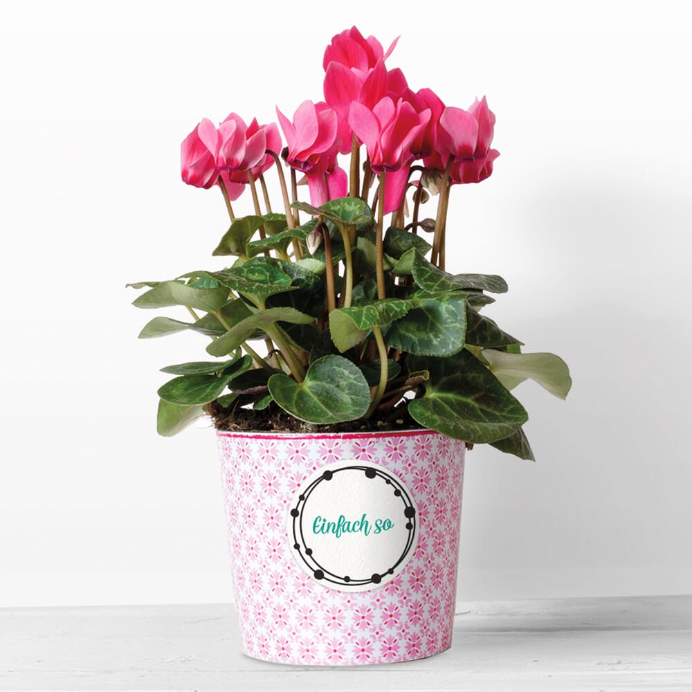 TRODAT Vintage Stempel "Glückwünsche"